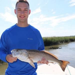 Meet your Posher, Robert